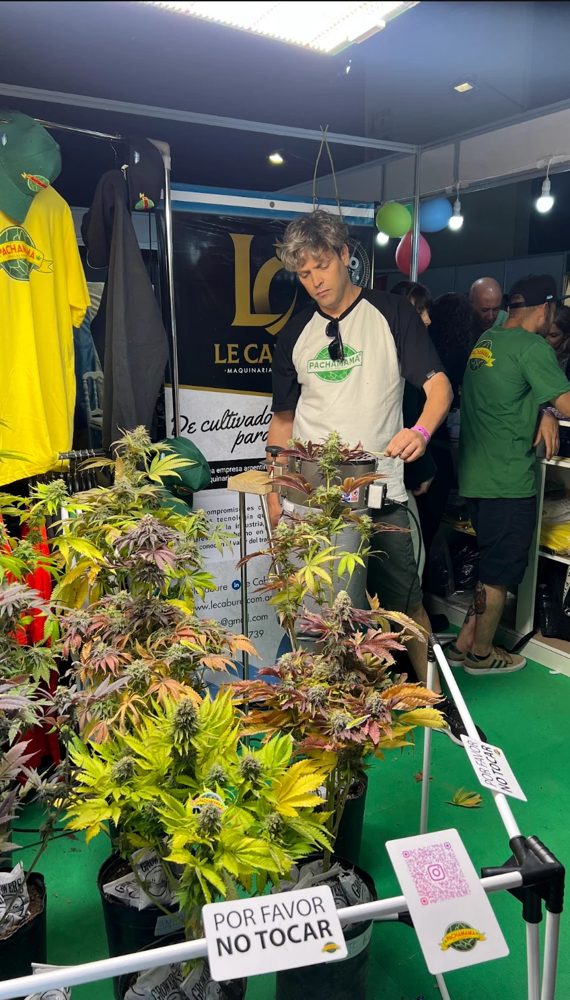 Pachamama en Expo Cannabis